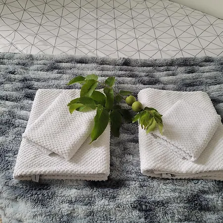 Pod Orzechem 公寓 比得哥什