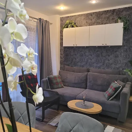 Apartament Pod Orzechem Bydgoszcz