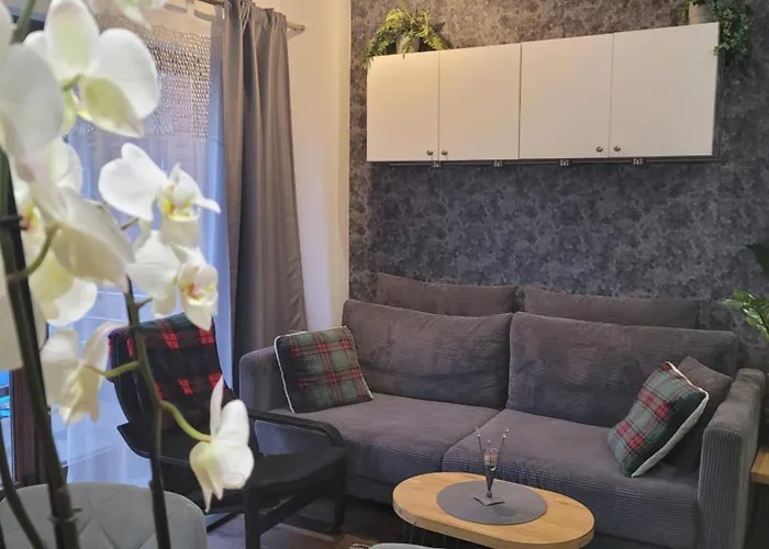 Apartament Pod Orzechem Bydgoszcz